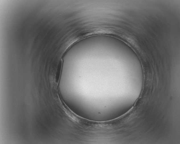 X0000059801281200511041617