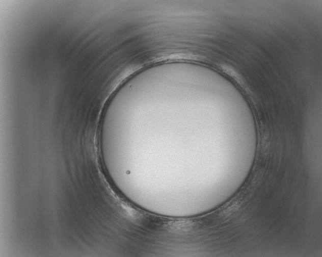 X0000059801282200511041617