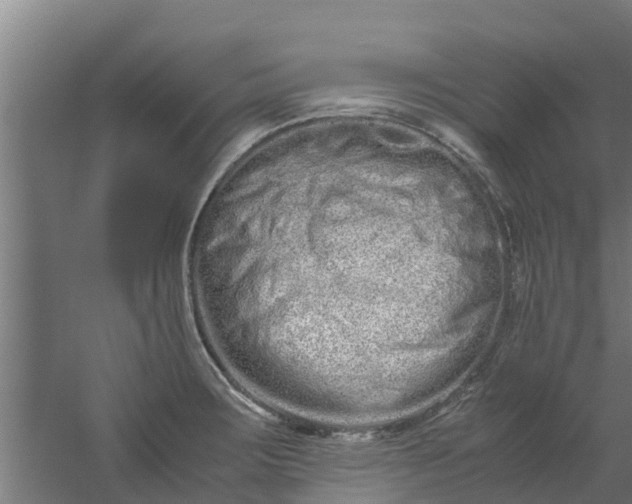 X0000059801283200511041617