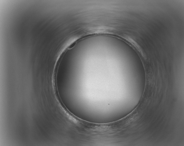 X0000059801285200511041617