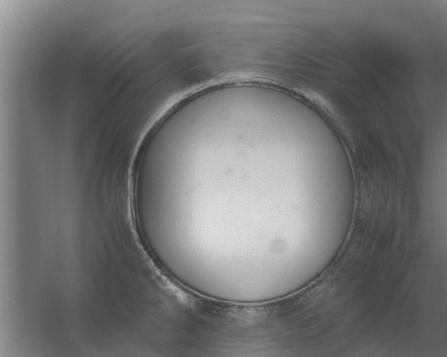 X0000059801286200511041617