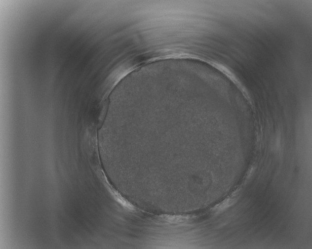 X0000059801289200511041617