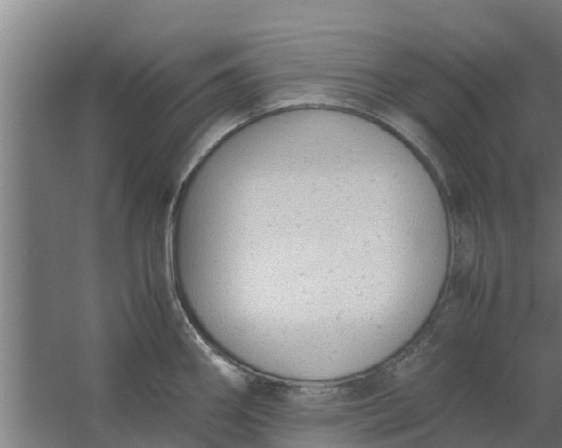 X0000059801290200511041617