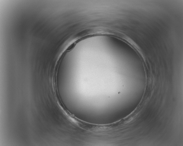 X0000059801293200511041617