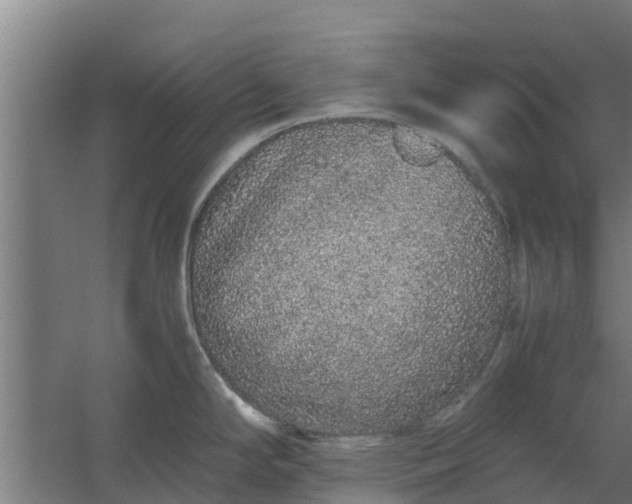 X0000059801294200511041617