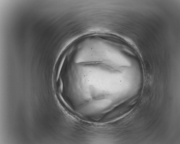 X0000059801295200511041617