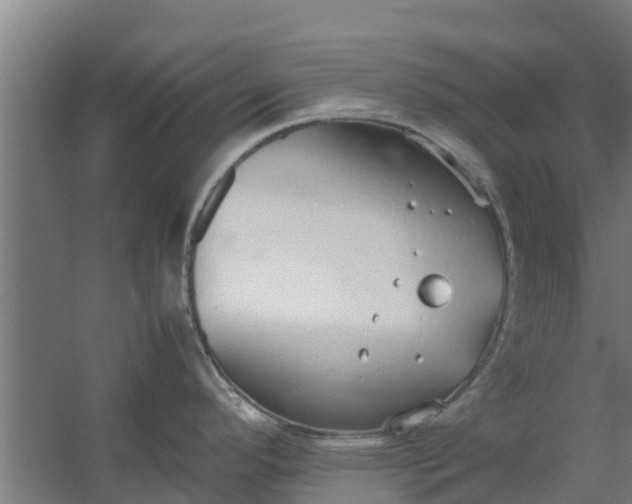 X0000059801296200511041617