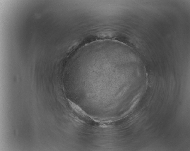 X0000059801297200511041616