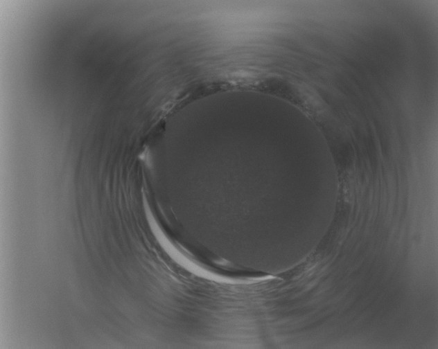 X0000059801298200511041616