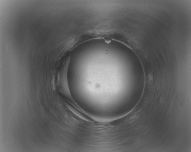 X0000059801300200511041616