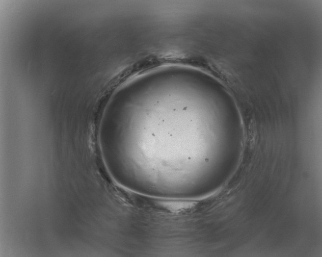 X0000059801301200511041616