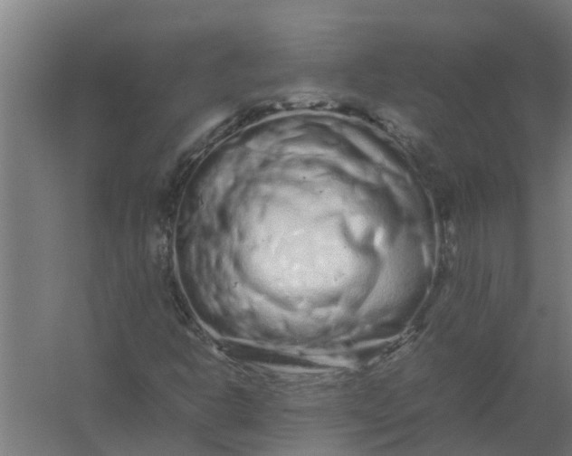 X0000059801302200511041616