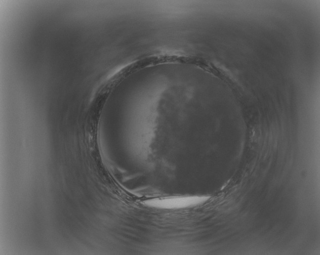 X0000059801303200511041616