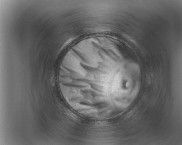 X0000059801306200511041616