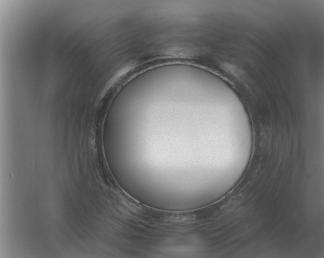 X0000059801307200511041616