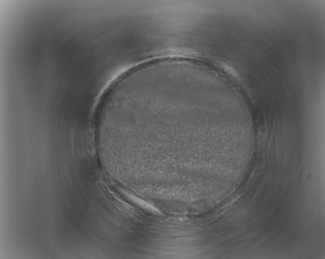 X0000059801310200511041616