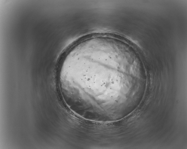 X0000059801311200511041616