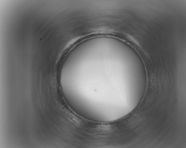 X0000059801315200511041616