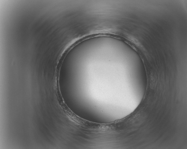 X0000059801316200511041616