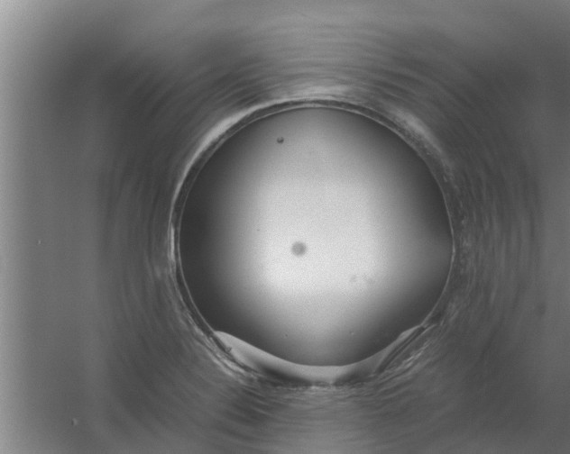 X0000059801324200511041617