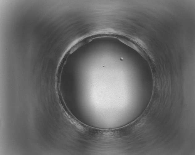 X0000059801326200511041617