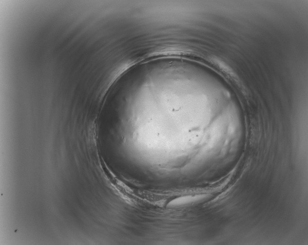 X0000059801329200511041617