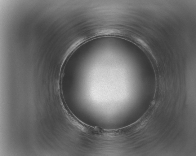 X0000059801330200511041617