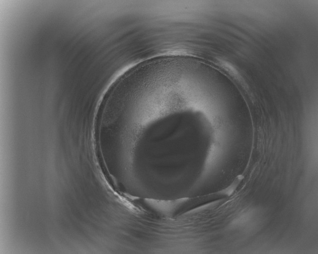 X0000059801331200511041617