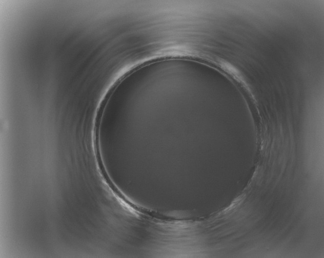 X0000059801334200511041617