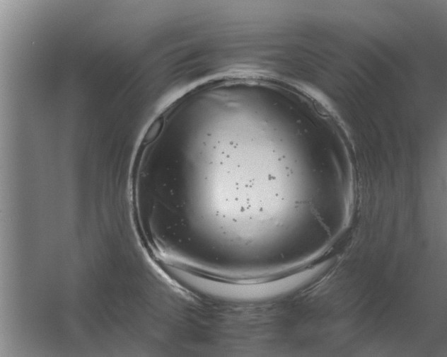 X0000059801335200511041617