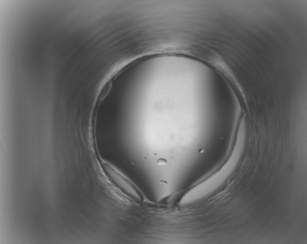 X0000059801336200511041617