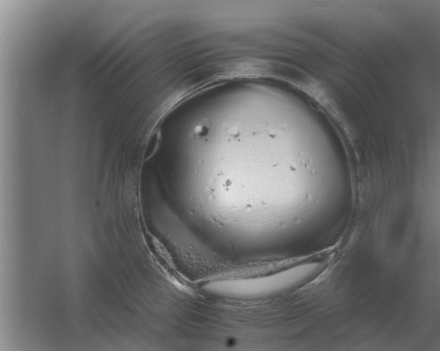 X0000059801337200511041617