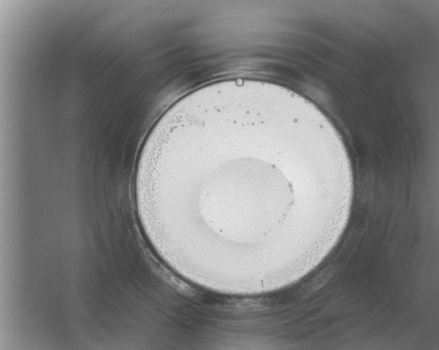 X0000059801338200511041617