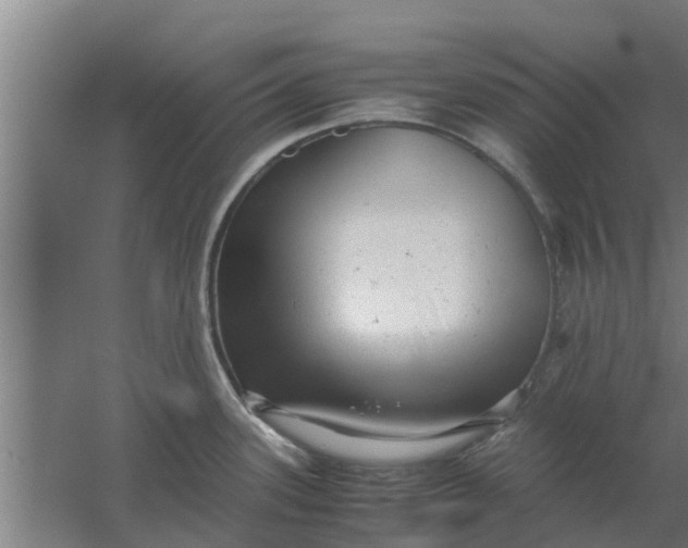 X0000059801339200511041617