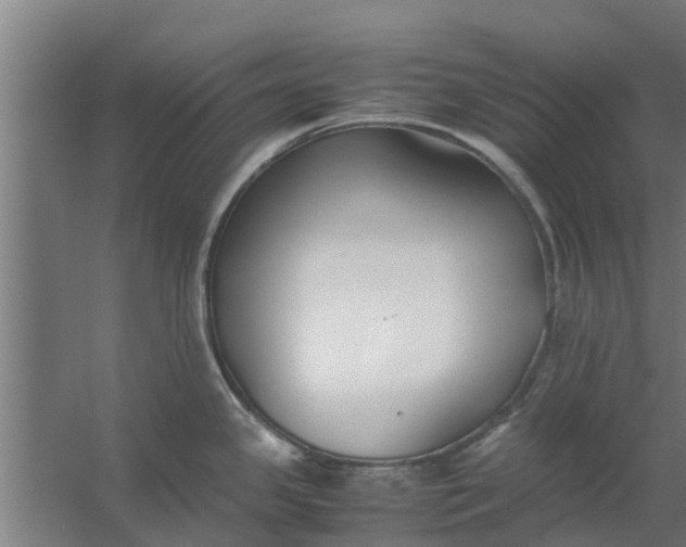 X0000059801341200511041617