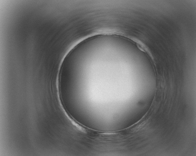 X0000059801343200511041617