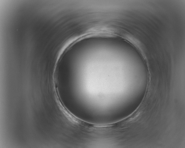 X0000059801344200511041617