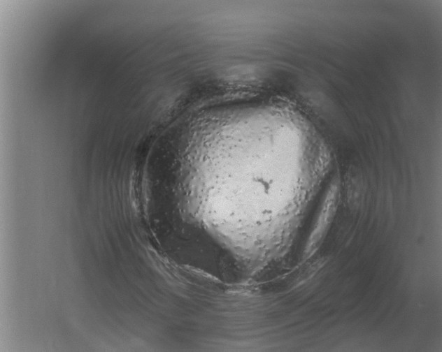 X0000059801346200511041616