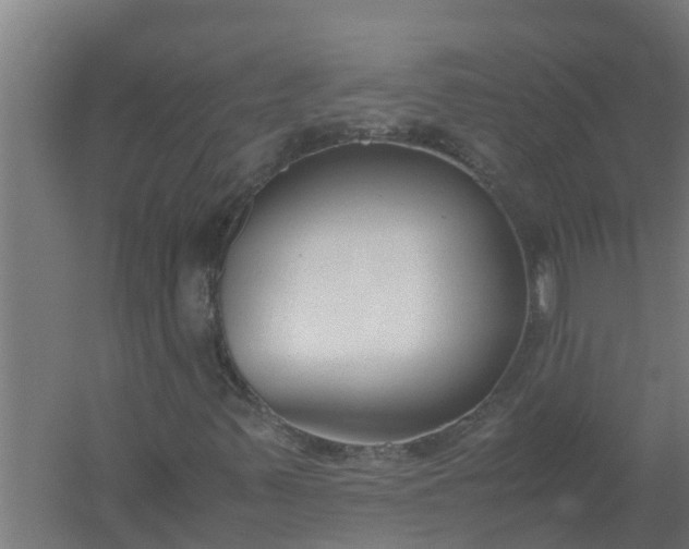 X0000059801347200511041616