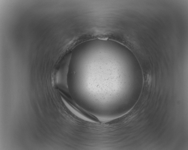 X0000059801348200511041616