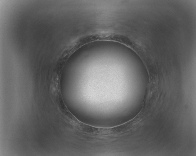 X0000059801349200511041616