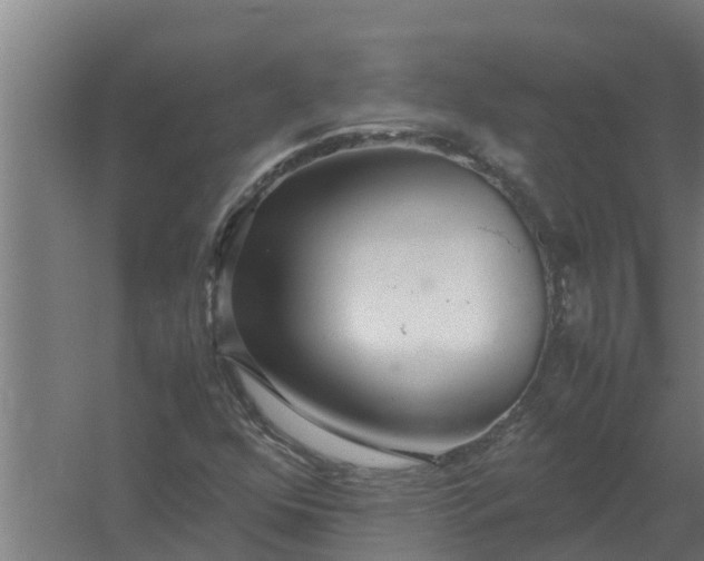 X0000059801352200511041616