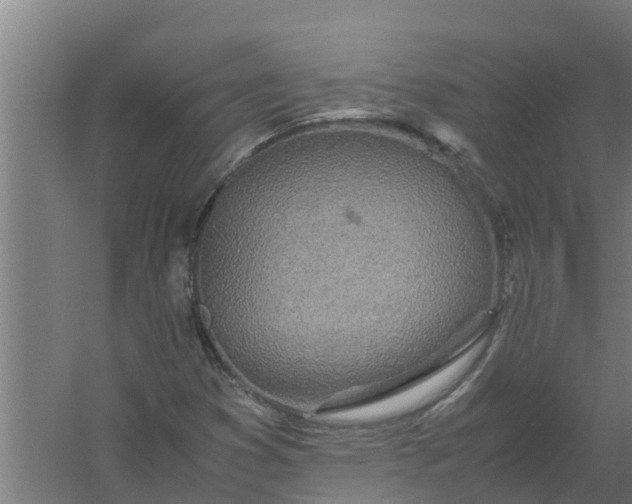 X0000059801353200511041616