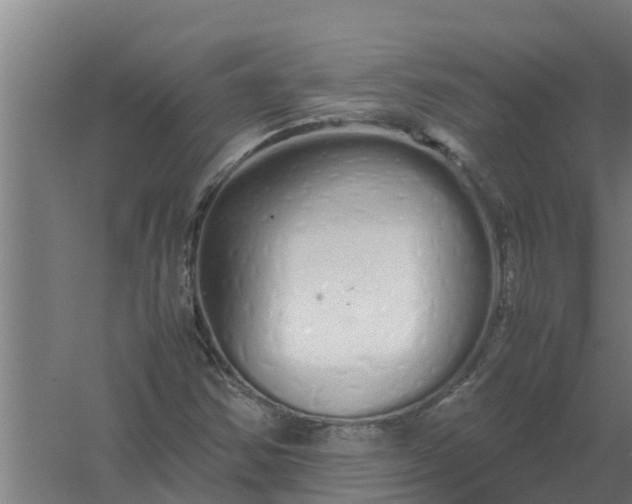 X0000059801354200511041616