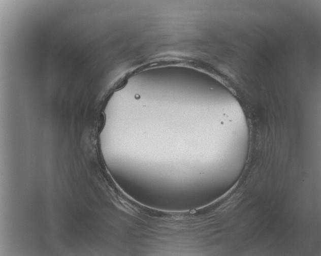 X0000059801355200511041616