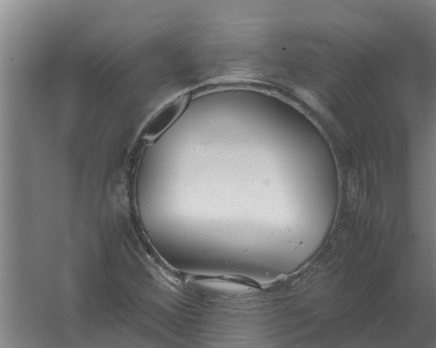 X0000059801356200511041616