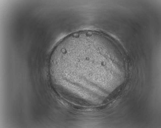 X0000059801359200511041616