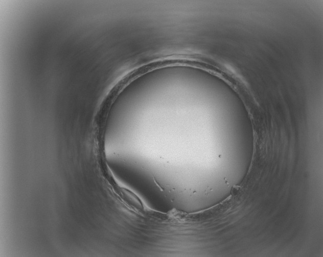 X0000059801360200511041616