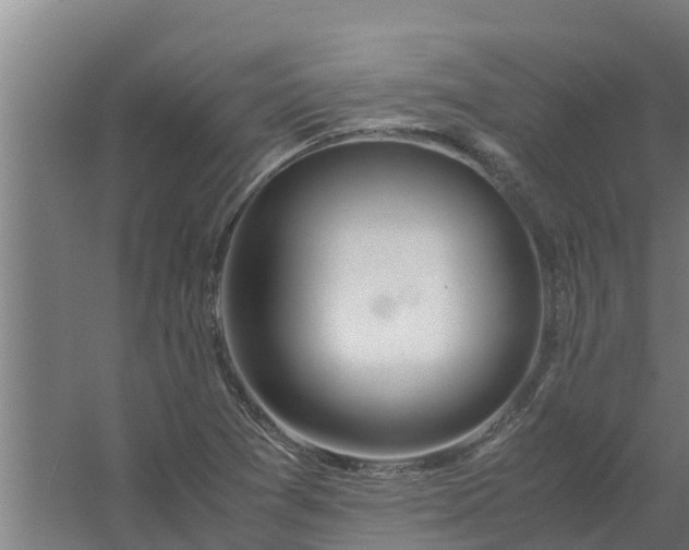 X0000059801361200511041616