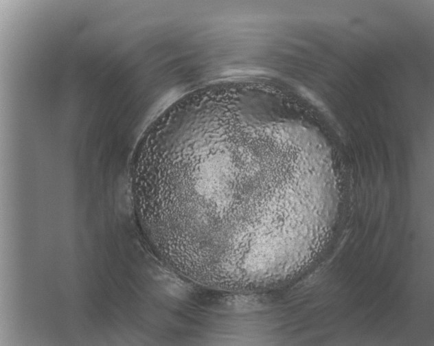 X0000059801362200511041616